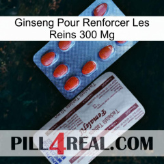 Ginseng For Reinforcing Kidney 300 Mg 36